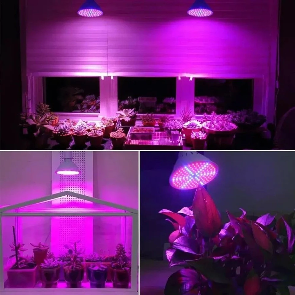 Indoor Grow Light Bulb Indoor Grow Light Bulb
